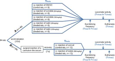 Indole, a Signaling Molecule Produced by the Gut Microbiota, Negatively Impacts Emotional Behaviors in Rats